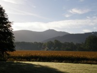 Lysá hora
