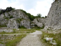 Arboretum Bílá hora