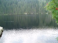 Prášilské jezero