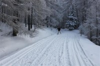 Lyžařské tratě v Jestřebích horách