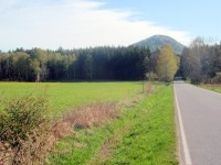 Ortel