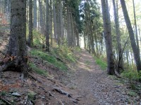Cesta k vrcholu