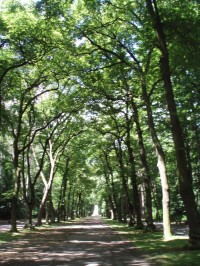 Letohrádek Hvězda