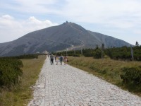 Sněžka