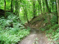 Češovské valy 