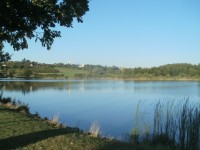 Rybník Roudnička 