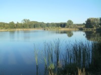 Rybník Roudnička 