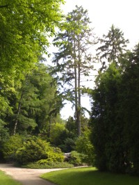 Hradec Králové - Jiráskovy sady
