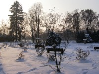 Hradec Králové - Jiráskovy sady