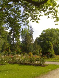 Hradec Králové - Jiráskovy sady