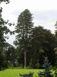 Milíčeves - zámek