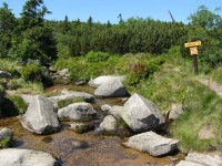 Pančava (v Krkonoších)
