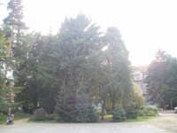 Hradec Králové - parčík Pohádka