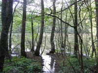 Pilský rybník