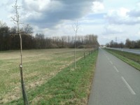 cyklostezka u Týniště nad Orlicí