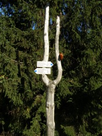 Krkonoše bez bariér