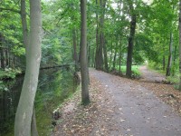 náhon