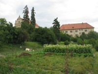 Žitenice
