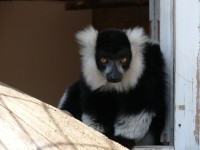 ZOO Chleby