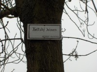 Menhir Keltský kámen