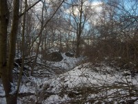 vrchol