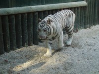 Zoo Liberec