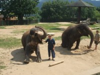 Zvýhodněné vstupné do zoo Ústí nad Labem