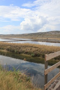 Chorvatsko - Pag - solné doly