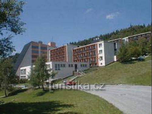 Hotel Dlouhé Stráně - restaurace