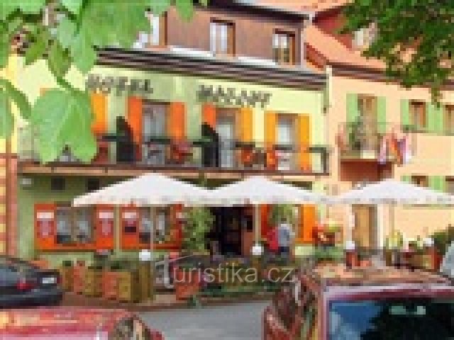 Hotel Maxant