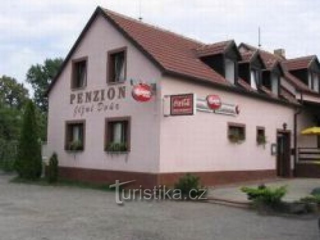 Penzion a restaurace Jižní Dvůr Pištín