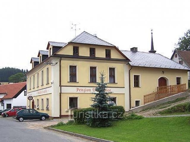 Penzion Borovnice - restaurace