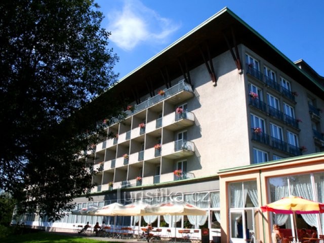 Hotel Medlov