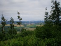 Značená trasa 0445 - etapa A (Palice, rozc. -> Hřebeč) - 26 km