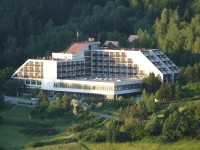 HOTEL PETR BEZRUČ