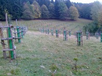Díky Lesům ČR si valašská krajina i do budoucna zachová svůj tradiční ráz
