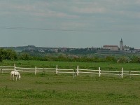 Zelčín