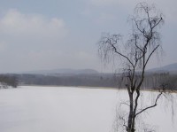 Koňský rybník