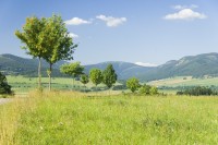 Králický Sněžník - rozhledna