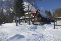 Velká hřebenovka