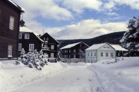 Sezónní ledotrysk