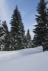 Miliónová cesta