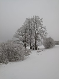 Řeznická kaple