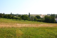 Vřesovice (okres Hodonín)