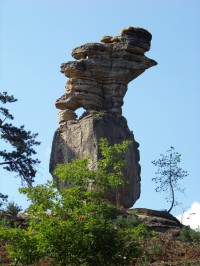 Panenská skála 2008