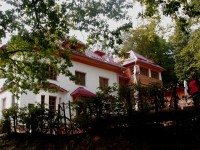 Bunč