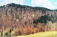 Toulání okolo Valašské Senice  ( retro 2001 )