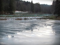 Trubiska - rybníky
