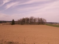 Židovský hřbitov Prudice