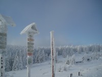 Ovčárna - Švýcarna - Praděd - Ovčárna
